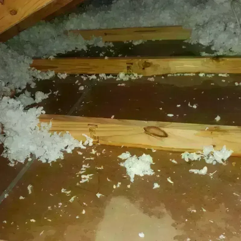 Attic Water Damage in Mount Vernon, IL