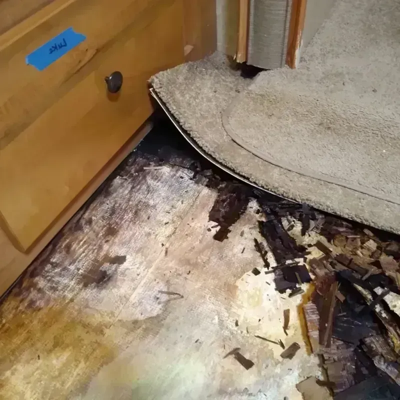 Wood Floor Water Damage in Mount Vernon, IL